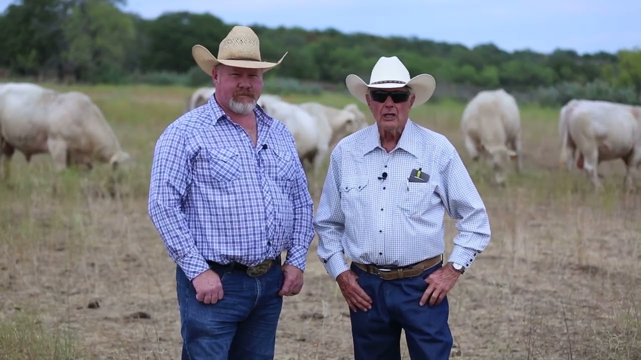 “We like to produce calves that have high gain capabilities, that are healthy, and uniform. That’s why we prefer Charolais bulls.”Max MartinJX Ranch, Texas
