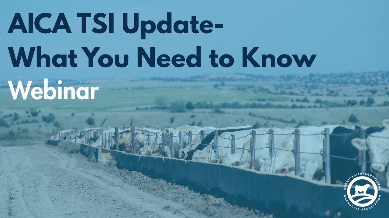 AICA TSI Update Webinar-What You Need to Know