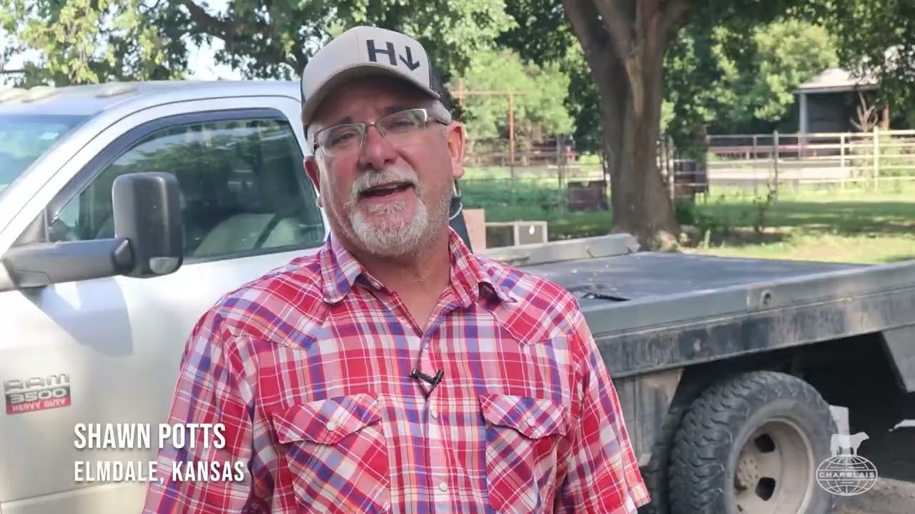 “Switching to Charolais bulls made all the difference in performance of my calf crop. Any rancher looking to add payweight and profitability needs to take a look at using Charolais bulls” Shawn PottsElmdale, KS