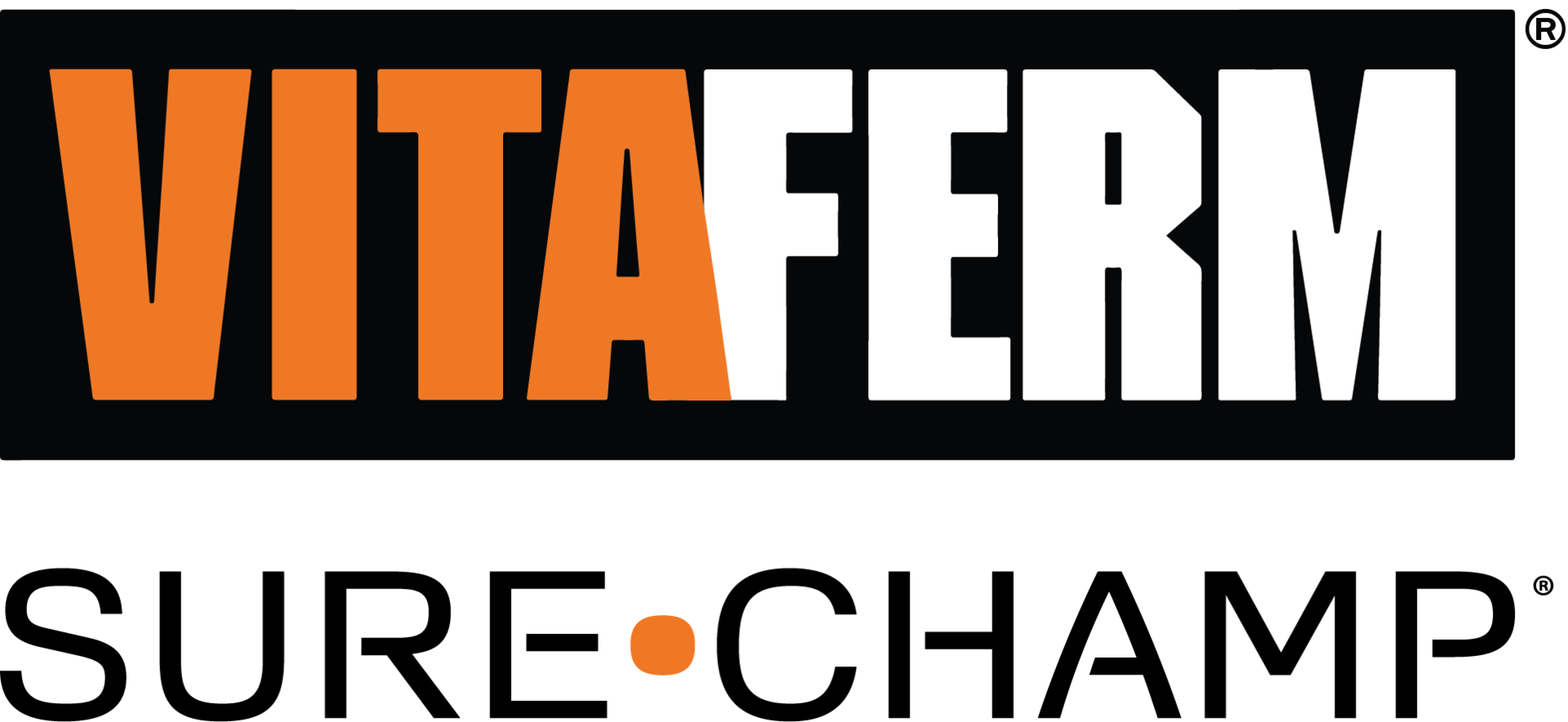 VitaFerm-CharFocus-logo