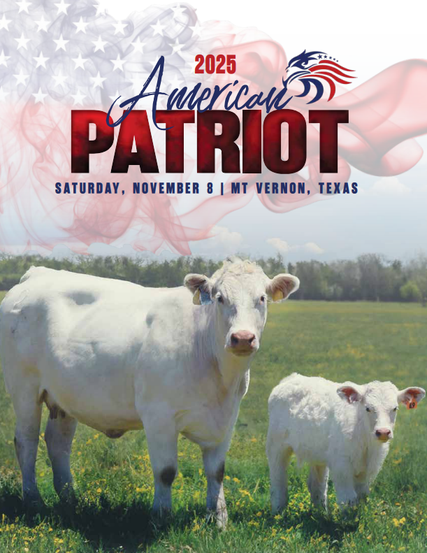 American Patriot Sale