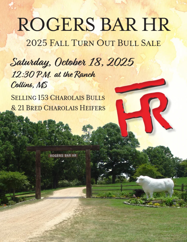 Rogers Bar HR Bull Sale