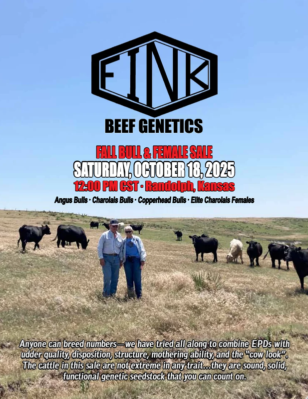 FALL BULL & FEMALE SALE