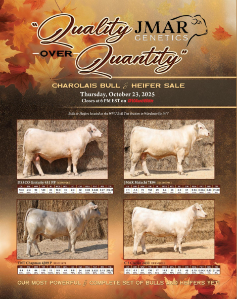 JMAR and Guests Sale