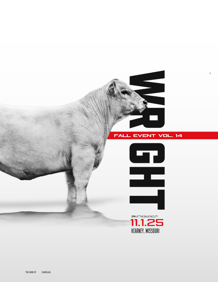 Wright Charolais